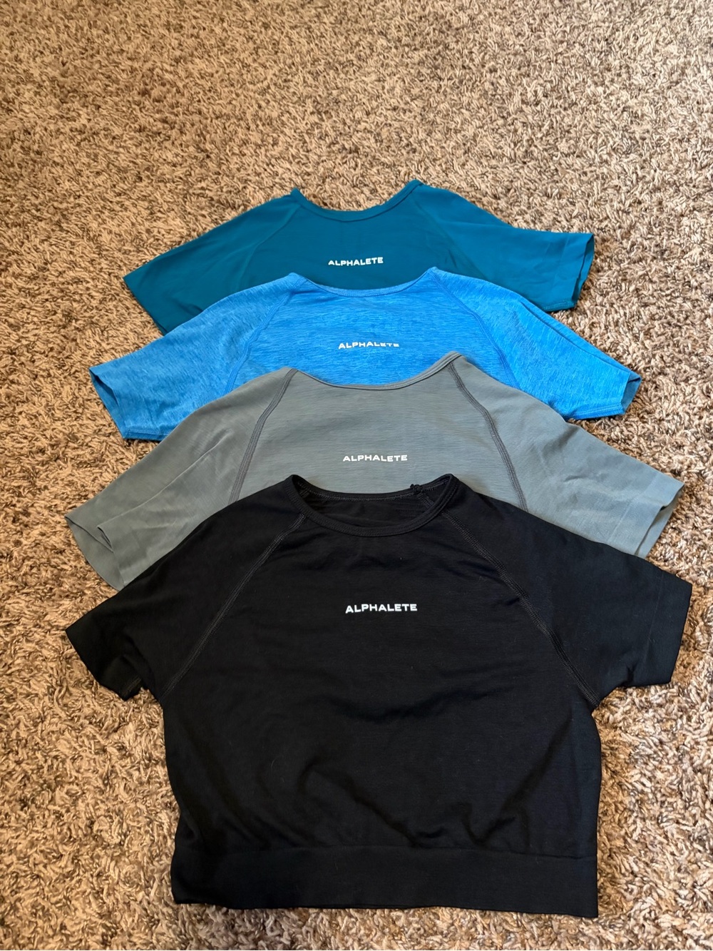 Alphalete Women's Amplify Crew Neck Short Sleeve Crop Top
